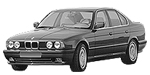 BMW E34 C206D Fault Code