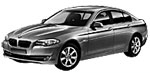 BMW F10 C206D Fault Code